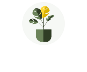 Welche ist die beste Blumenerde für Zimmerpflanzen?