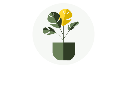 Welche Zimmerpflanze verträgt viel Sonne?