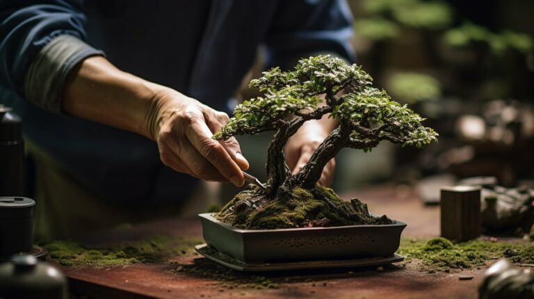 Wann Garten Bonsai schneiden? Eure Tipps und Tricks