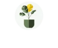 zimmerpflanzentipps.de